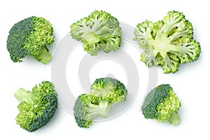 Broccoli Isolated on White Background