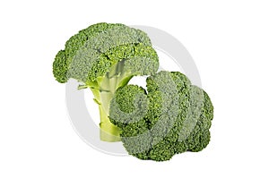 Broccoli isolated on white background