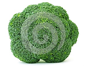 Broccoli isolated on white background