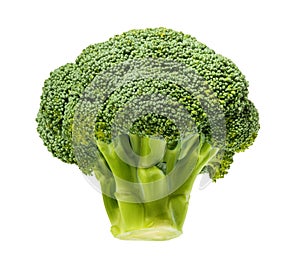 Broccoli isolated on white background clipping path
