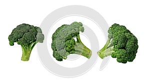 Broccoli isolated on white background with clipping path.