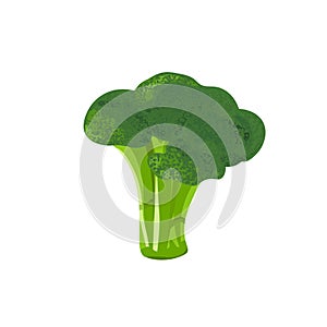 Broccoli Isolated on White Background. Fresh Cabbage Vegetable