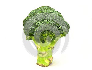 Broccoli isolated on a white background, healthy food