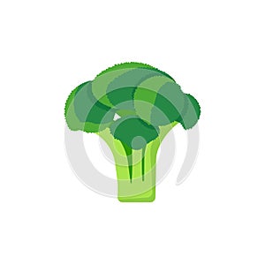 Broccoli isolated on white background. Vector illustration