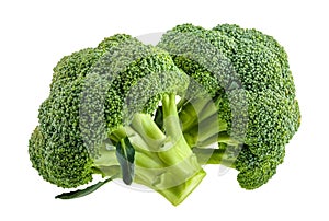 Broccoli isolated on white without shadow photo