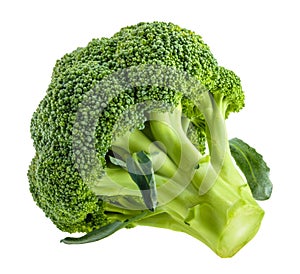 Broccoli isolated on white without shadow