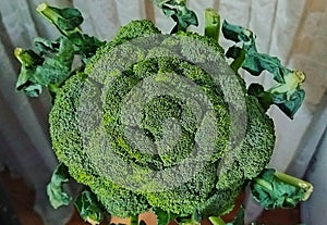  broccoli. photo