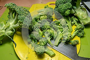 The broccoli in the kitchen on the cutting board, bright green in color, compact and fresh, is very healthy, nutritious, excellent