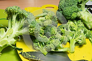 The broccoli in the kitchen on the cutting board, bright green in color, compact and fresh, is very healthy, nutritious, excellent