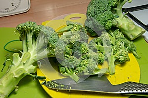 The broccoli in the kitchen on the cutting board, bright green in color, compact and fresh, is very healthy, nutritious, excellent