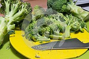 The broccoli in the kitchen on the cutting board, bright green in color, compact and fresh, is very healthy, nutritious, excellent