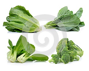 Broccoli ,lettuce , chinese broccoli ,cos, Bok choy on white ba