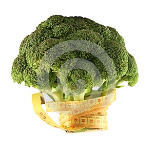 Broccoli with a metre-stick