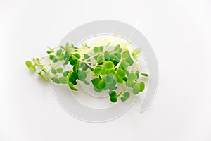 Broccoli microgreens sprouts isolated on white background