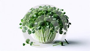 A broccoli microgreens wellness shot, Ai generated image