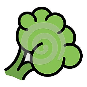 Broccoli protein icon vector flat