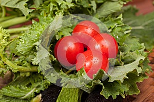 Broccoli Rabe And Cherry Tomatoes photo