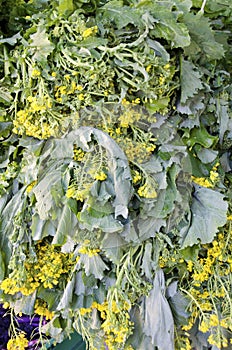 Broccoli Rabe photo