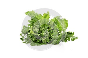 Broccoli Rabe Isolated photo