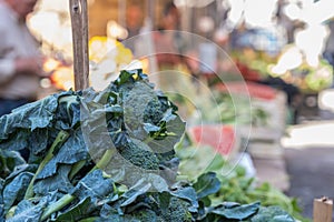 Broccoli Rabe on a street food market, w Palermo Sycylia, vegetable stand photo