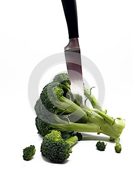 Broccoli released on white background