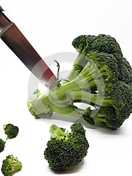 Broccoli released on white background