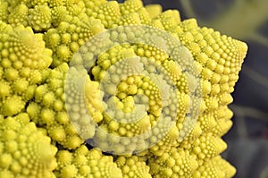 Broccoli Romanesco - Broccoli Nutrient Varieties