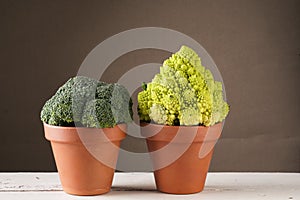 Broccoli and romanesco cauliflower in clay pot