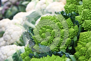 Broccoli romanesco. Cauliflower vegetables photo