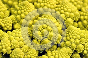 Broccoli Romanesco - Broccoli Nutrient Varieties