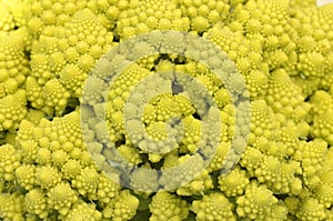 Broccoli Romanesco - Broccoli Nutrient Varieties