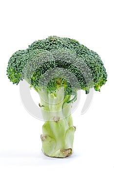 Broccoli Series 01