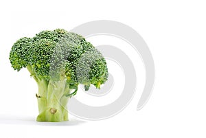 Broccoli Series 01
