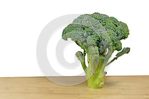 Broccoli from side view and white background