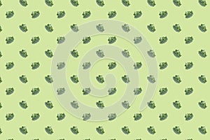 Broccoli slices on green background.