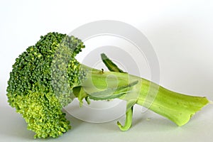 Broccoli Stalk