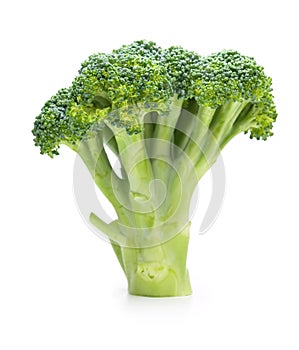 Broccoli standing, isolated on white