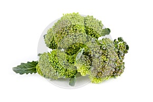 Broccoli stems isolated on white