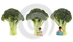 Broccoli tree