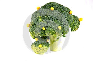 Broccoli tree