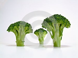 Broccoli Trees