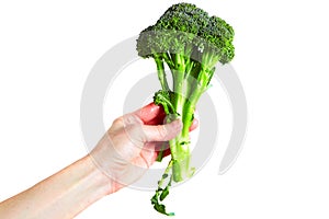 Broccoli on a white background