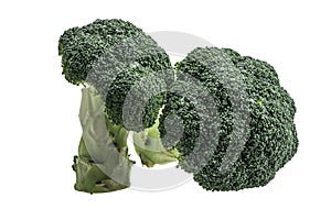 Broccoli on a white background