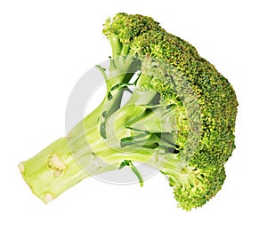 Broccoli on white background