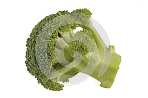 Broccoli on a white background