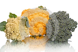 Broccoli, white and yellow cauliflower