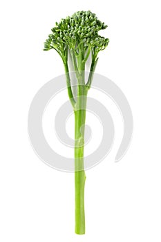 Broccolini photo