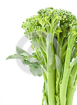 Broccolini baby broccoli