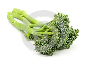 broccolini baby broccoli isolated