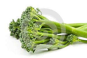 broccolini baby broccoli isolated